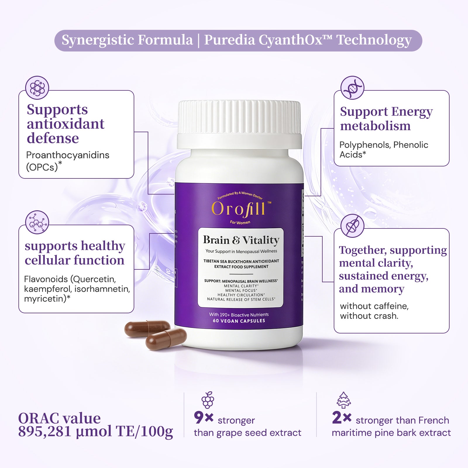 Brain & Vitality