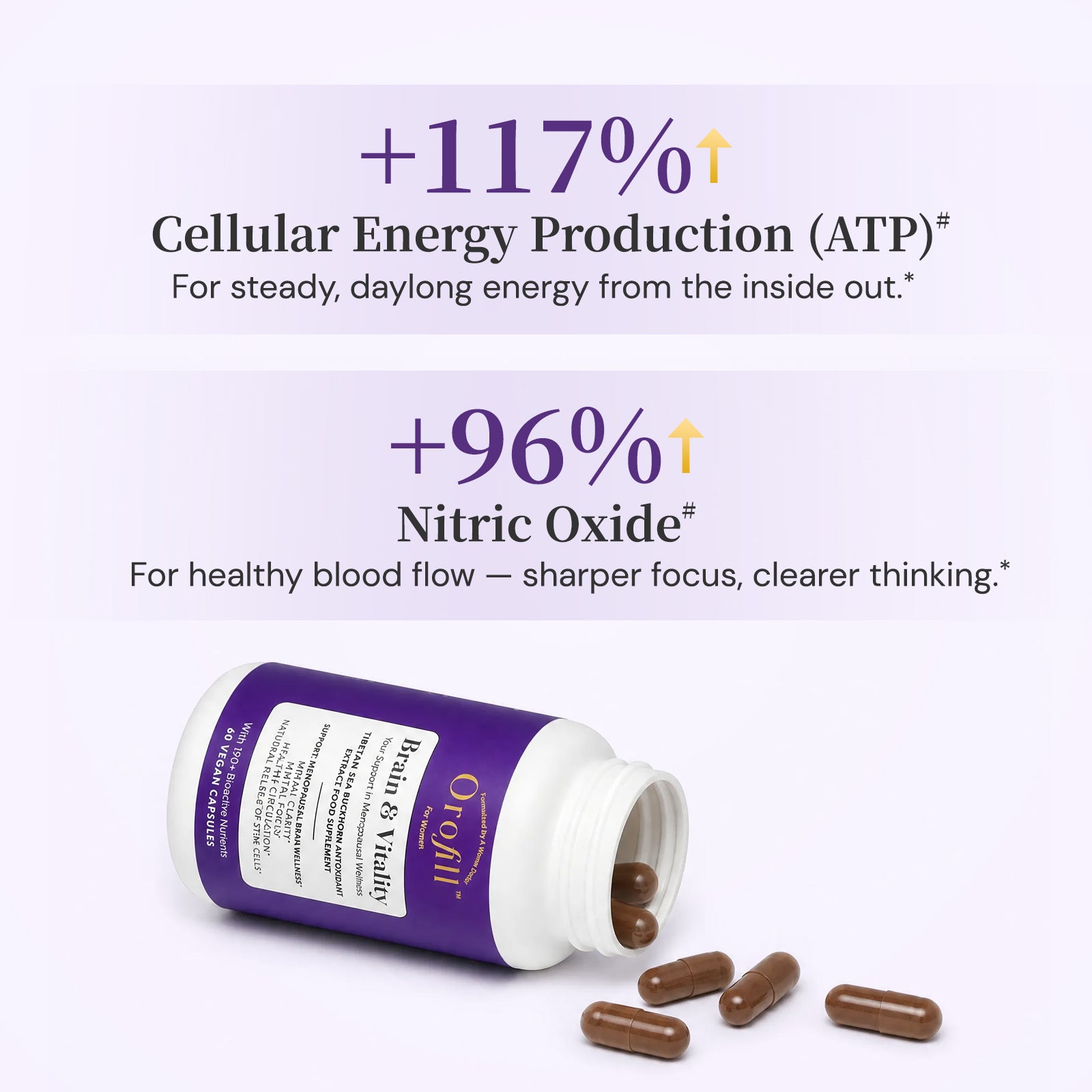 Brain & Vitality