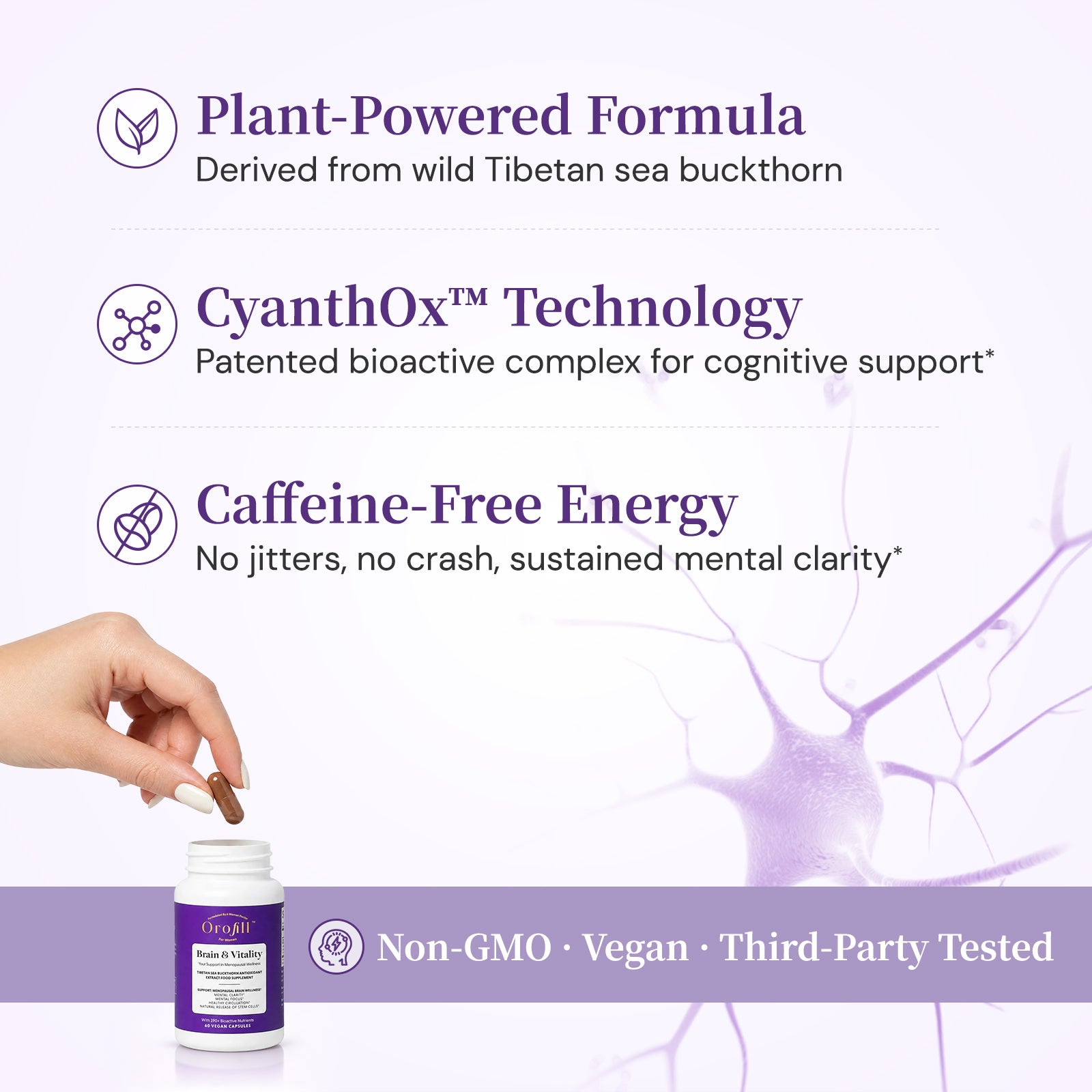 Brain & Vitality